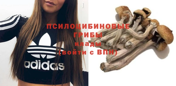синтетический гашиш Карпинск