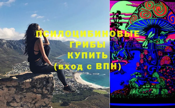 синтетический гашиш Карпинск