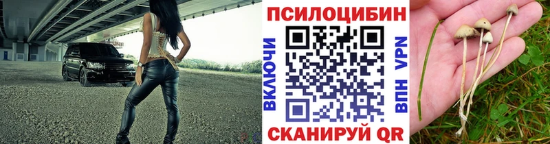 Псилоцибиновые грибы Psilocybine cubensis  Купить  Котельники 